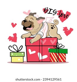A cartoon pug dog lies on gift boxes and the inscription big love. Valentine's Day card