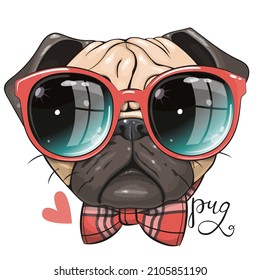 Cartoon Pug Dog with red glasses and bow isolated on a white background