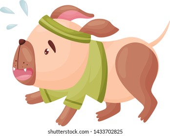 Cartoon pug running. Vector illustration on white background.