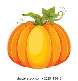 Cartoon pumpkin. Big fresh pumpkin. Usable for Thanksgiving day, Halloween etc