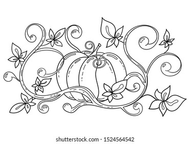 Cartoon pumpkin. Colouring picture about autumn harvesting season. Doodle design for adult and kids coloring book.