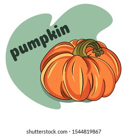 Cartoon pumpkin. Different on white background with the words "pumpkin". Autumn halloween or thanksgiving pumpkin. Autumn harvest. Squash and gourd vegetable cartoon icons. 