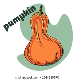 Cartoon pumpkin. Different on white background with the words "pumpkin". Autumn halloween or thanksgiving pumpkin. Autumn harvest. Squash and gourd vegetable cartoon icons. 