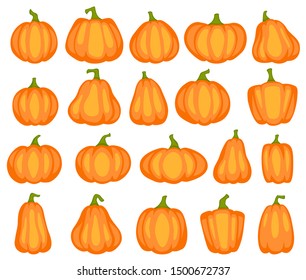 Cartoon pumpkin. Different shapes and sizes of orange gourd, agriculture harvest vegetable. Thanksgiving or halloween vector decorative cute drawing decoration design
