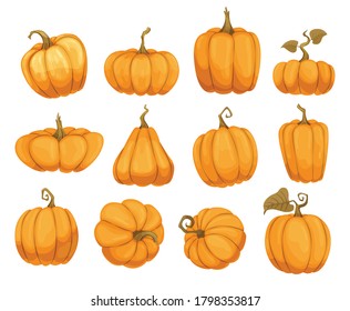 Cartoon pumpkin flat icons set. Orange and yellow autumn pumpkins. Different shapes and sizes of pumpkin or gourd vegetable. Collection farm harvest vegetables fresh and tasty