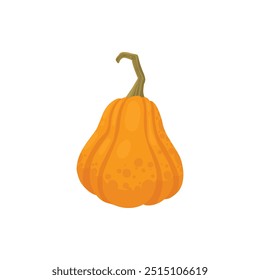 Cartoon pumpkin, halloween squash, fall harvest gourd. Pumpkin, squash and leaves vector symbol illustration. Autumn thanksgiving and halloween pumpkin icon on white background