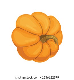 Cartoon pumpkin icon. Orange and yellow autumn pumpkin. Large gourd vegetable. Farm harvest vegetable fresh and tasty