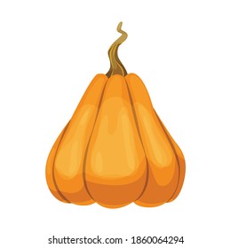 Cartoon pumpkin icon. Orange and yellow autumn pumpkin. Large gourd vegetable. Farm harvest vegetable fresh and tasty