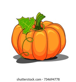 Cartoon Pumpkin Leaf Isolated On White Stock Vector (royalty Free 