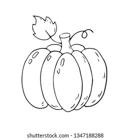 Cartoon pumpkin on a white background. Vector illustration.