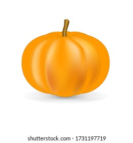 Cartoon pumpkin on white. Healthy vitamin vegetable. Edible orange plant for vegan and vegetarian cuisine. The food ingredient and symbol of the autumn holidays is Halloween and Thanksgiving day