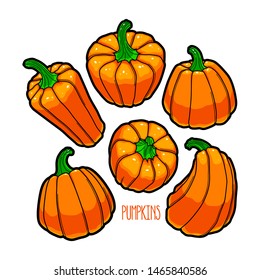 Cartoon pumpkin set. Different shapes of pumpkin isolated on white background. Vector illustration
