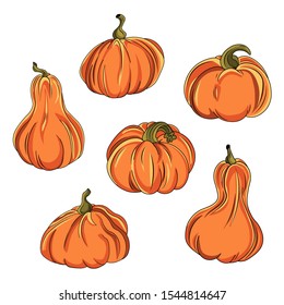 Cartoon pumpkin set. Different shapes and sizes orange gourd isolated on white background. Autumn halloween or thanksgiving pumpkin. Autumn harvest. Squash and gourd vegetable cartoon icons