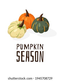 Cartoon Pumpkin Spice Season Image with Text. Hand drawn stylish vegetable. Vector drawing fresh organic food and Quote. Summer illustration vegan ingrediens for smoothies or Pie