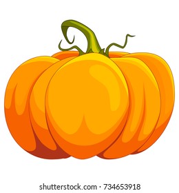 Cartoon pumpkin vector illustration, isolated on white background