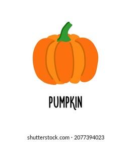 Cartoon pumpkin vector illustration with white background