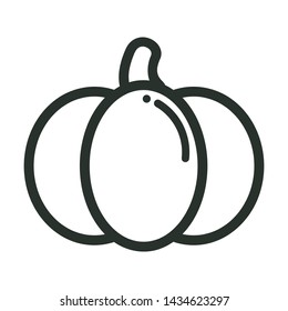 cartoon pumpkin vector image outline