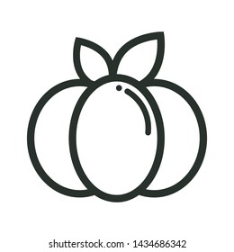 cartoon pumpkin vector image outline with leaves