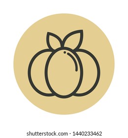 cartoon pumpkin vector image outline with leaves icon