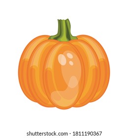 Cartoon pumpkin vegetable. Cartoon vector illustration.