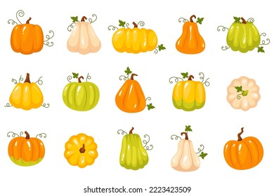 Cartoon pumpkins, halloween squash, fall harvest gourds and leaves set. Autumn thanksgiving and halloween pumpkins collection isolated on white background. Vector illustration