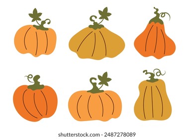 Cartoon pumpkins, halloween squash, fall harvest gourds. Pumpkins, squash and leaves vector symbols illustrations. Autumn thanksgiving and halloween pumpkins collection