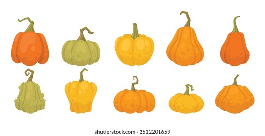 Cartoon pumpkins, halloween squash, fall harvest gourds. Pumpkins, squash and leaves vector symbols illustrations. Autumn thanksgiving and halloween pumpkins collection on white background