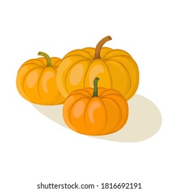 Cartoon pumpkins illustration. Autumn seasonal food drawing isolated on white background.