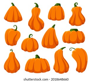 Cartoon pumpkins. Isolated pumpkin, autumn harvest fresh gourds. Happy halloween and thanksgiving time symbols, orange fall squash garish vector set on white