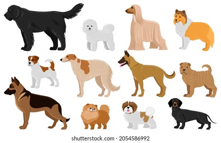 Cartoon puppy dogs breeds pets cute characters. Dachshund, shepherd, malinois and jack russell terrier vector illustration set. Domestic collie and shar pei dogs. Character breed and pet