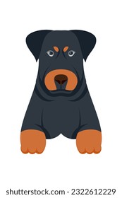 Cartoon puppy dogs breeds pets cute characters. Flat design of cute dogs and puppies vector illustration.