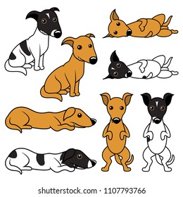 Cartoon puppy vector illustration set. Two variants of the doggy, beige one and white and black spotted one. Isolated on white background.