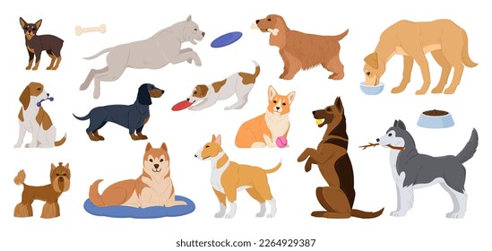 Cartoon purebred dogs. Happy active puppies, sleeping, playing and eating domestic dogs, corgi and husky cute pets flat vector illustration set. Dogs animal characters