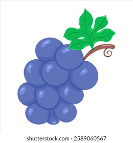 Cartoon purple bunch of grapes with green leave. Hand drawn vector blue grape icon.