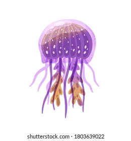 Cartoon purple jellyfish vector flat illustration. Colorful marine animal or sea jelly with tentacles isolated on white background. Ocean fauna, aquatic creature. Natural exotic water dweller