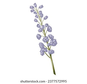 Cartoon purple lupine flower. Vector isolated plant, tender buds on the stem.