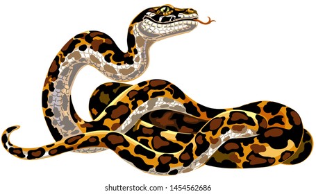 Cartoon python big snake. Boa constrictor isolated on white. Vector illustration
