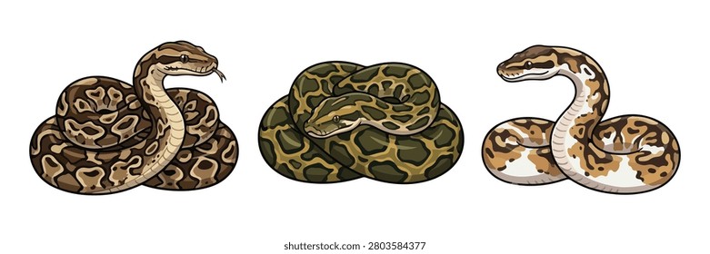 cartoon python snake illustration set