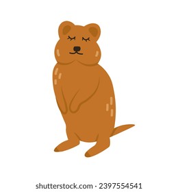 Cartoon quokka animal aislado en blanco. Carácter lindo, zoológico vector, afiche de vida salvaje. 