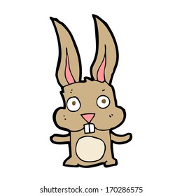 cartoon rabbit