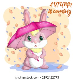 Cartoon rabbit, hare with an umbrella. Autumn, Cute childish character, symbol of 2023 Chinese New Year.