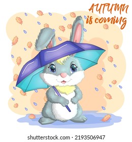 Cartoon rabbit, hare with an umbrella. Autumn, Cute childish character, symbol of 2023 Chinese New Year.