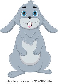 cartoon rabbit isolated on white background