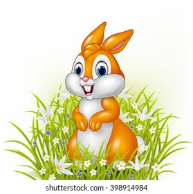 Cartoon rabbit on grass background