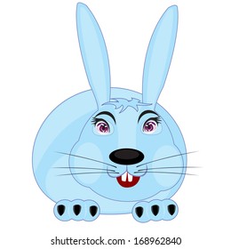 Cartoon of the rabbit on white background