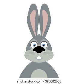 cartoon rabbit on white background
