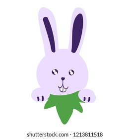 cartoon Rabbit pet