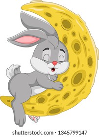 Cartoon rabbit sleeping on the moon