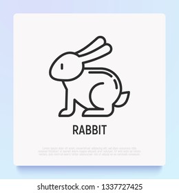 Cartoon rabbit thin line icon. Modern vector illustration for Chinese horoscope.