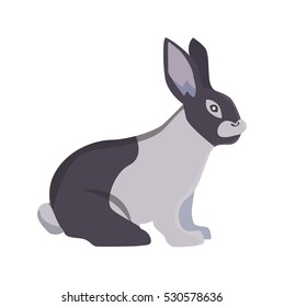 cartoon rabbit vector isolated